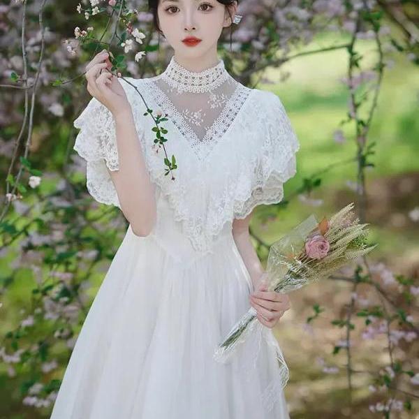 Lace and Chiffon Long Dress with Cap Sleeves Vintage Mauve Plus Size